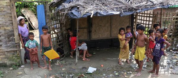 罗兴亚危机致“伊斯兰国”逼近中国边境活动风险上升 - 俄罗斯卫星通讯社