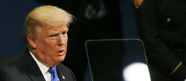 波多黎各的债务应予以免除 - 俄罗斯卫星通讯社