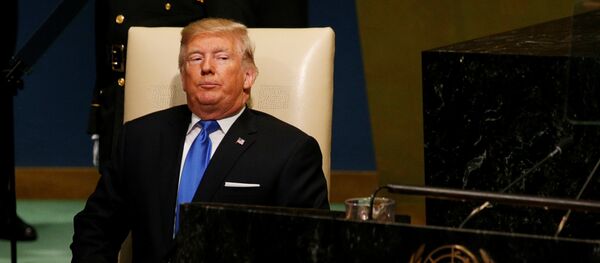 专家：特朗普想让中国边境出现25个切尔诺贝利 - 俄罗斯卫星通讯社