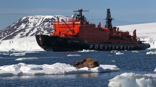 北极航线的货运量到2030年或将增加超过10倍 - 俄罗斯卫星通讯社