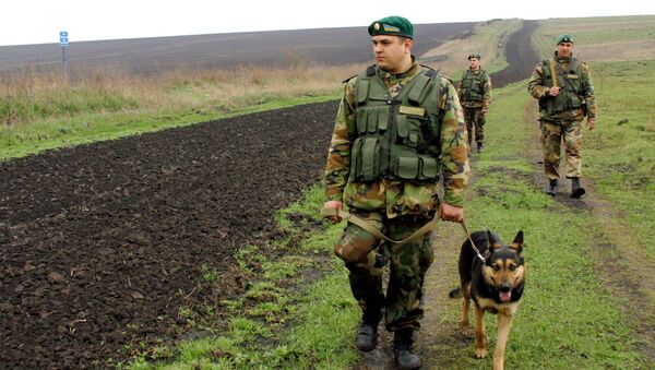 Пограничники на участке украино-российской границы - 俄羅斯衛星通訊社