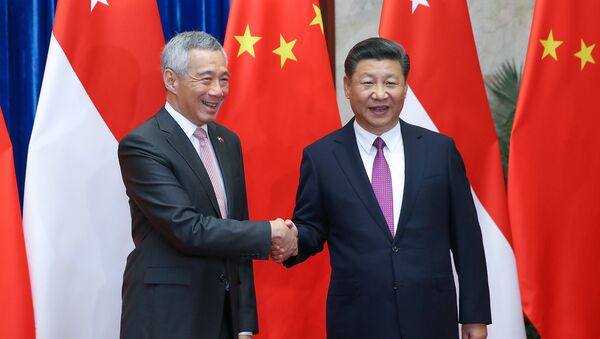 中國和新加坡走出南海問題陰影 - 俄羅斯衛星通訊社