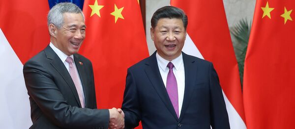 中国和新加坡走出南海问题阴影 - 俄罗斯卫星通讯社