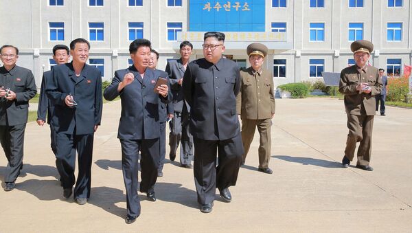 Лидер КНДР Ким Чен Ын во время посещения фруктового сада - 俄羅斯衛星通訊社