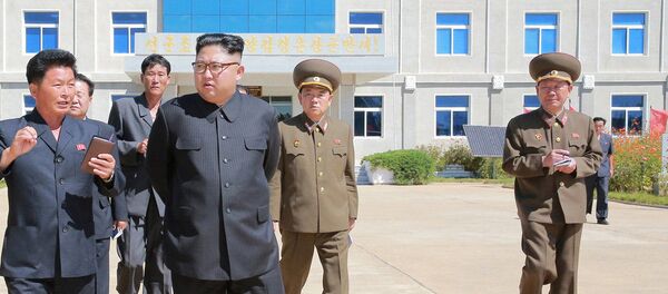 Лидер КНДР Ким Чен Ын во время посещения фруктового сада Лидер КНДР Ким Чен Ын во время посещения фруктового сада - 俄羅斯衛星通訊社