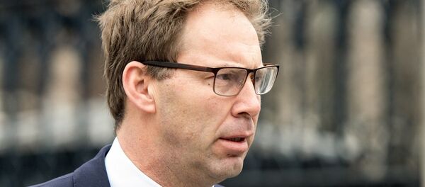 英国国防部副部长托比阿斯·埃尔伍德 - 俄罗斯卫星通讯社