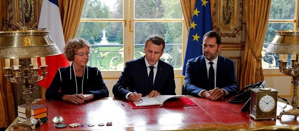 法國總統馬克龍 - 俄羅斯衛星通訊社