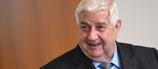 敘利亞外長 - 俄羅斯衛星通訊社