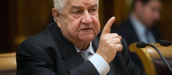 叙外交部：美在叙坦夫地区重新训练残余“伊斯兰国”分子 - 俄罗斯卫星通讯社