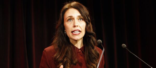 中国推迟启动与新西兰的旅游合作项目 - 俄罗斯卫星通讯社