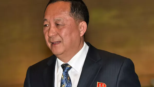 俄駐平壤大使館：朝鮮外相將於近期訪俄 - 俄羅斯衛星通訊社