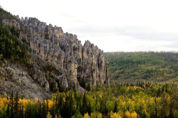 雅库特的勒拿河柱状岩国家自然公园 - 俄罗斯卫星通讯社