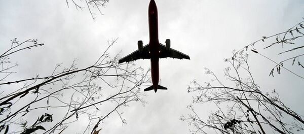 一架波音737-800型飞机因引擎故障在俄迫降 - 俄罗斯卫星通讯社