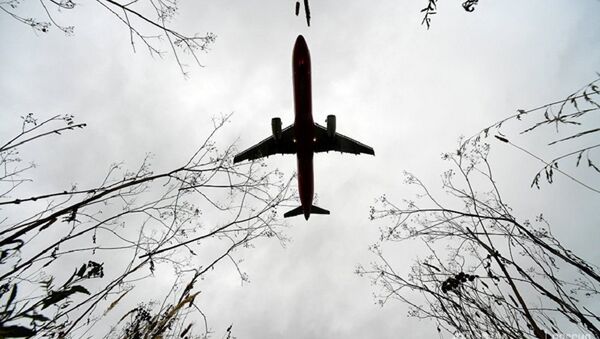 黑山航班因机长心脏病发作在俄卡卢加紧急降落 - 俄罗斯卫星通讯社