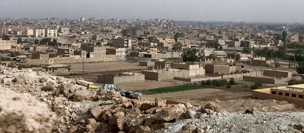 敘利亞政府宣佈了從“伊斯蘭國”手中徹底解放代爾祖爾的期限 - 俄羅斯衛星通訊社