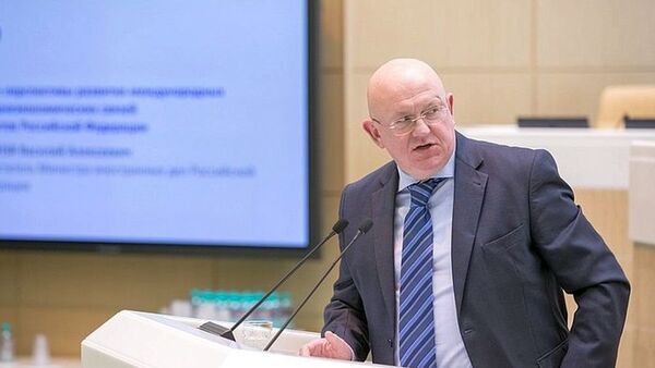 俄常驻联合国代表：若美国重启核试验，俄方必须为此做好准备 - 俄罗斯卫星通讯社