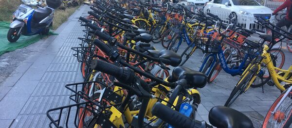 北京當局加強對自行車租賃的要求 北京當局加強對自行車租賃的要求 - 俄羅斯衛星通訊社