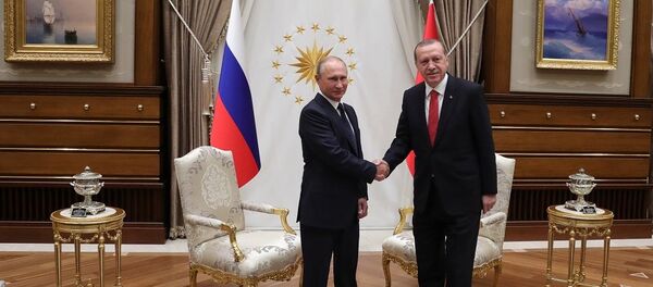 俄总统普京和土耳其总统埃尔多安 - 俄罗斯卫星通讯社