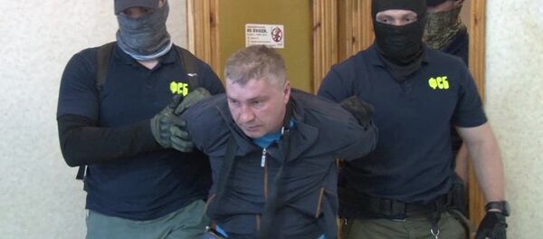 德米特里·多尔戈波洛夫 德米特里·多尔戈波洛夫 - 俄罗斯卫星通讯社