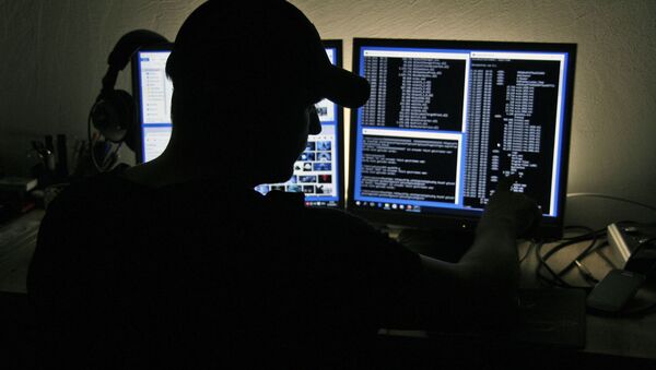 Компьютерный хакер - 俄罗斯卫星通讯社