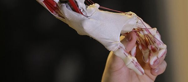 俄学者制造出一种可制造出耐磨的人体移植物的材料 俄学者制造出一种可制造出耐磨的人体移植物的材料 - 俄罗斯卫星通讯社