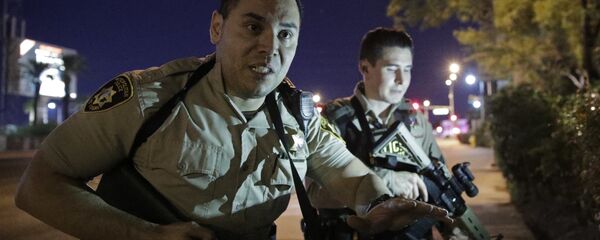 美国警察 - 俄罗斯卫星通讯社