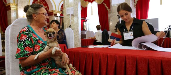 大选,俄罗斯 大选,俄罗斯 - 俄罗斯卫星通讯社