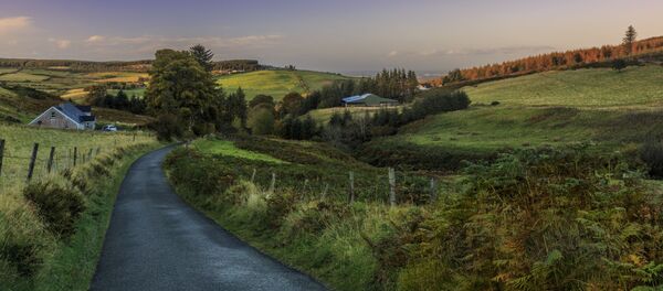 Пейзаж в Ирландии - 俄罗斯卫星通讯社