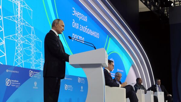 普京：某些国家为自身利益进行能源制裁 - 俄罗斯卫星通讯社
