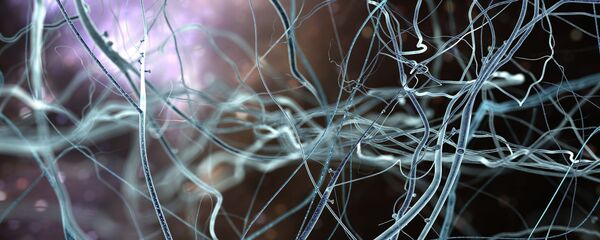 Искусственная нейронная сеть Искусственная нейронная сеть - 俄罗斯卫星通讯社