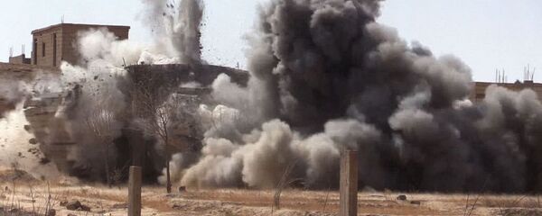 专家：对 ISIS作战结束后叙利亚反恐战争还会继续下去 - 俄罗斯卫星通讯社