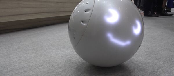陪兒童玩耍的機器人亮相日本展覽 - 俄羅斯衛星通訊社