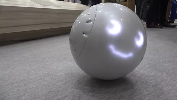 陪兒童玩耍的機器人亮相日本展覽 - 俄羅斯衛星通訊社