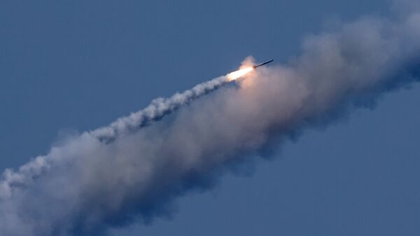 俄羅斯武裝部隊對奧德薩港區的一個機庫發動導彈打擊 - 俄羅斯衛星通訊社