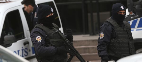 土耳其 - 俄罗斯卫星通讯社