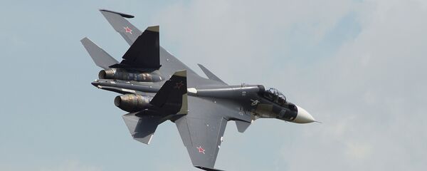 苏-30M战机（资料图片） - 俄罗斯卫星通讯社