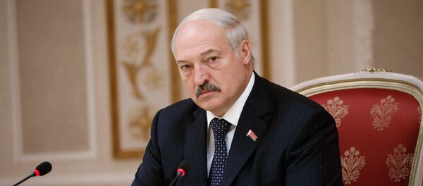 白俄总统 - 俄罗斯卫星通讯社