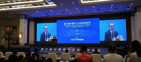 Российско-китайский деловой форум малого и среднего бизнеса в Гуанчжоу Российско-китайский деловой форум малого и среднего бизнеса в Гуанчжоу - 俄罗斯卫星通讯社