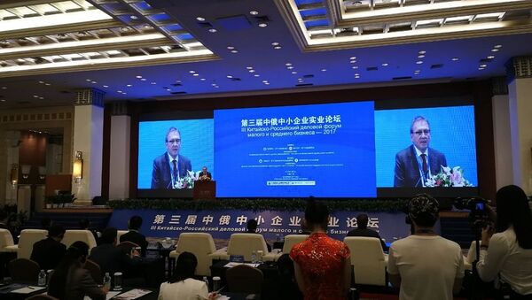 Российско-китайский деловой форум малого и среднего бизнеса в Гуанчжоу - 俄罗斯卫星通讯社