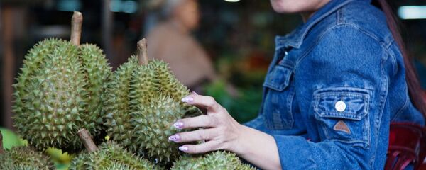 榴褳 - 俄羅斯衛星通訊社