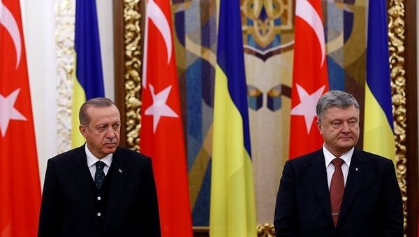 土耳其总统在与乌克兰总统召开联合新闻发布会时睡着 - 俄罗斯卫星通讯社