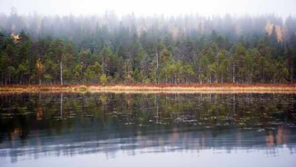 Озеро Толвоярви в Суоярвском районе Республики Карелия - 俄罗斯卫星通讯社