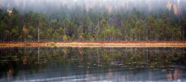 Озеро Толвоярви в Суоярвском районе Республики Карелия - 俄罗斯卫星通讯社