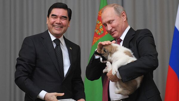 土庫曼斯坦總統庫爾班古力·別爾德穆哈梅多夫向俄聯邦總統普京贈送了一隻牧羊犬 - 俄羅斯衛星通訊社