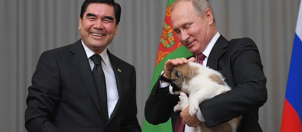 土庫曼斯坦總統庫爾班古力·別爾德穆哈梅多夫向俄聯邦總統普京贈送了一隻牧羊犬 土庫曼斯坦總統庫爾班古力·別爾德穆哈梅多夫向俄聯邦總統普京贈送了一隻牧羊犬 - 俄羅斯衛星通訊社