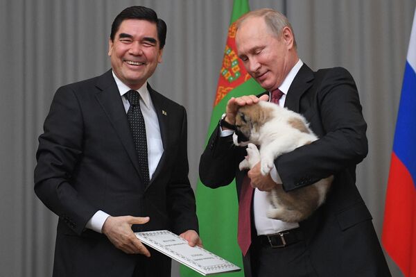 土庫曼斯坦總統庫爾班古力·別爾德穆哈梅多夫向俄聯邦總統普京贈送了一隻牧羊犬 - 俄羅斯衛星通訊社