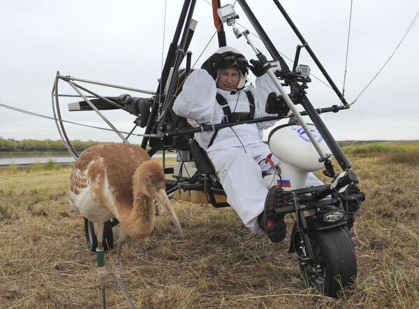俄聯邦總統普京參加保護珍稀動物 - 白鶴的科學實驗 - 俄羅斯衛星通訊社