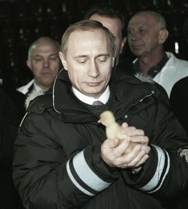俄联邦总统普京抱着小鸡，2000年 - 俄罗斯卫星通讯社
