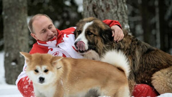 Президент России Владимир Путин с собаками Баффи и Юмэ на прогулке в Московской области - 俄罗斯卫星通讯社