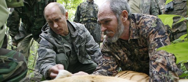 Глава правительства РФ Владимир Путин во время посещения Уссурийского заповедника - 俄罗斯卫星通讯社